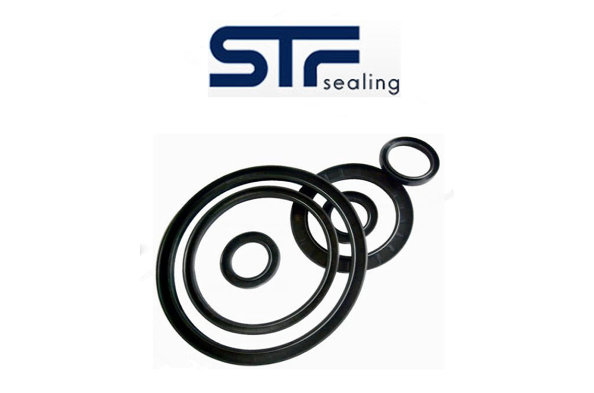 Sealing ring