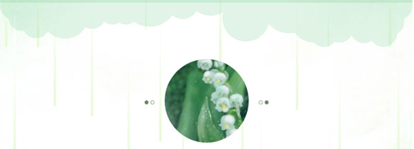 雨水|万物萌动春已至