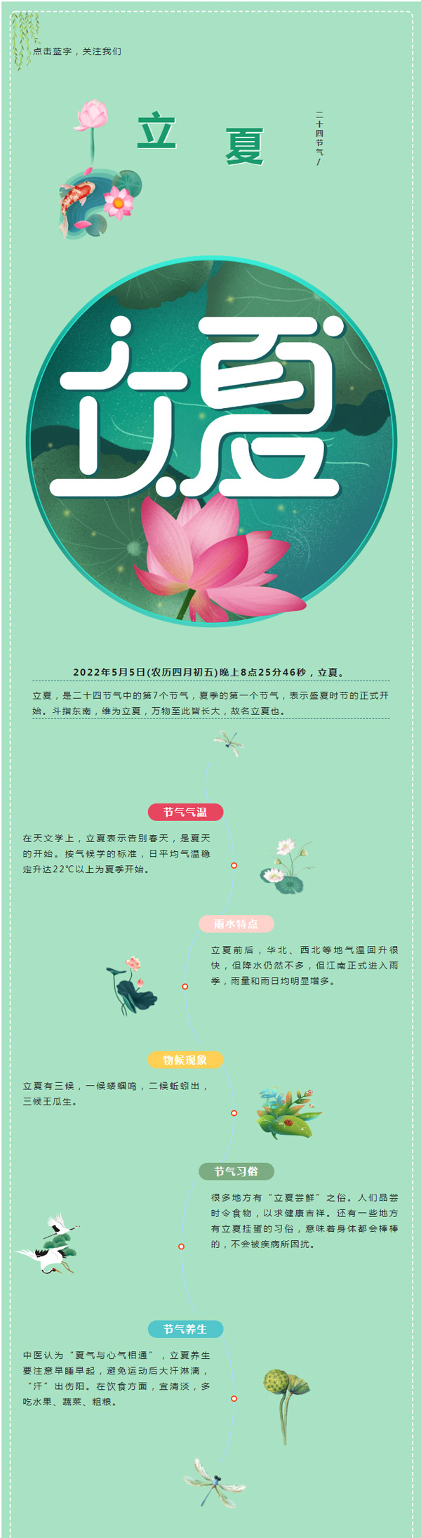 立夏 | 新荷露嫩绿，忽闻今夏来