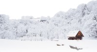 小雪 | 小雪节气知多少