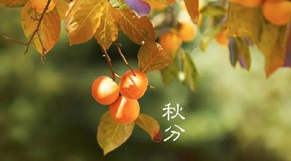 秋分 | 人生有美景，岁月有良辰